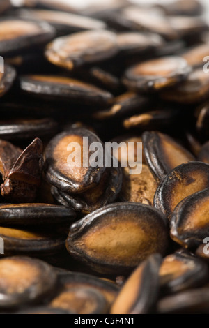 Pile of Baked Watermelon Seeds Stock Photo