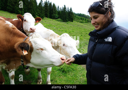 A young woman and Free grazing cows Photographed in Austria Stock Photo