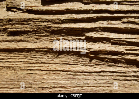 wood texture Stock Photo