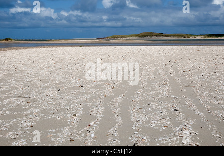 White shell beach on Texel, Netherlands Stock Photo