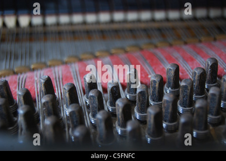 Tuning pegs and strings of a grand piano Stock Photo