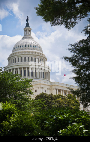 The United States Capitol building, Washington DC, USA. Stock Photo