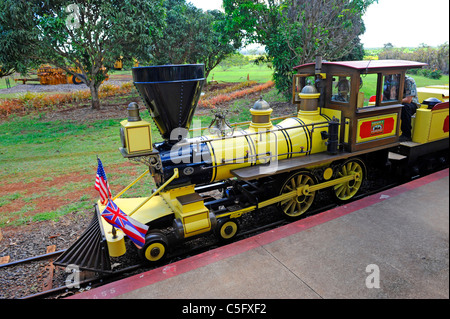 Dole Plantation Pineapple Express Train Wahiawa Honolulu Hawaii Oahu Pacific Ocean Stock Photo