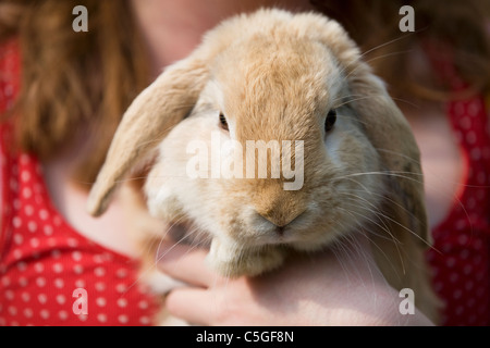 A young girl holding her pet rabbit Stock Photo