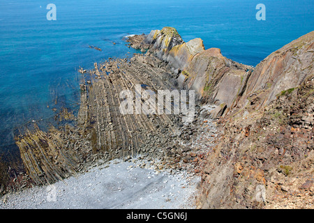 Wave cut platform and Gull Rock from Marsland Cliff near Morwenstow on the North Devon coast Stock Photo