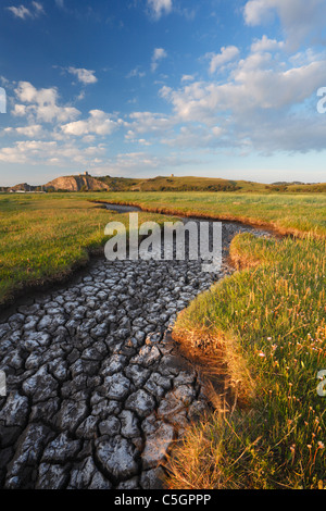 Dried Floodplain of the River Axe Estuary at Uphill. Somerset. England. UK.
