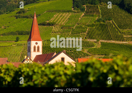 Ammerschwihr Saint Martin's Parish Church and bell tower rise above the vineyards along the Wine route, Alsace, Haut-Rhin, France Stock Photo