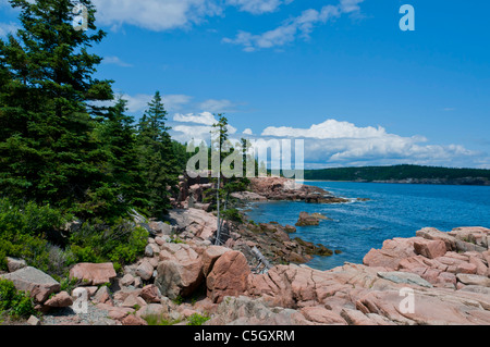 Rocky coast next to Thunder Hole Acadia National Park Maine Stock Photo