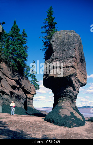 Hopewell Rocks, New Brunswick, Canada - Person walking on Beach at Low Tide at Flowerpot Rock, Bay of Fundy Stock Photo