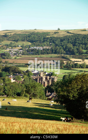 Melrose Abbey long view from up hill -vertical Stock Photo