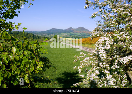 Walter Scott's view of the Eildon Hills in the Scottish Borders Stock ...