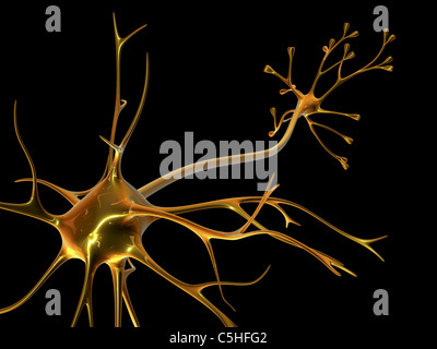 Nerve cell Stock Photo