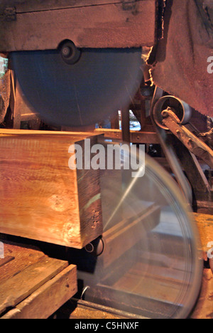 Closeup of the upper and lower circular saw blades cutting into the trimmed redwood log at an antique saw mill in Occidental Stock Photo