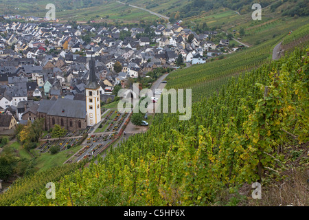 Weinreben auf dem Calmont, Bremm, Mosel, Vineyard at the Calmont, near the village Bremm, Moselle Stock Photo