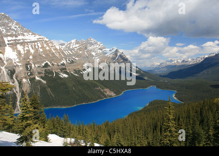 Peyto Lake viewed from Bow Summit in Banff National Park Canada on a ...
