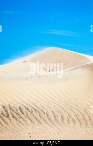 Sand blowing on Sand Dunes on South Padre Island, Texas. Stock Photo