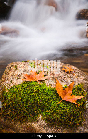 Fall on the Nacimiento River, Los Padres National Forest, California Stock Photo