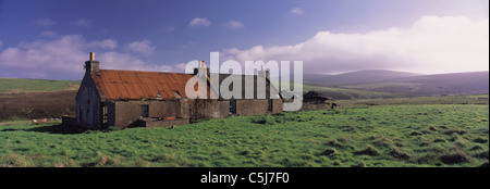 The ruin of an abandoned croft-house or farm-house at Quoys, Shetland, northern Scotland, UK Stock Photo