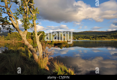 Dramatic evening light on a tree-covered island and distant landscape reflected in still water at Loch Tay, Perthshire, Stock Photo