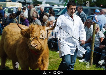 Local agricultural show held annually in the town of BIGGAR in South Lanarkshire, Scotland. Stock Photo