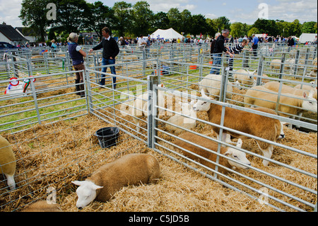 Local agricultural show held annually in the town of BIGGAR in South Lanarkshire, Scotland. Stock Photo