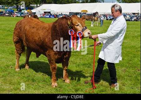 Local agricultural show held annually in the town of BIGGAR in South Lanarkshire, Scotland. Stock Photo