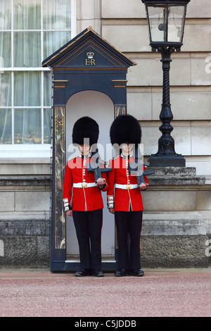 Two Scots Guards of Royal Queen's Guards outside a sentry box, Buckingham Palace, London, England Stock Photo