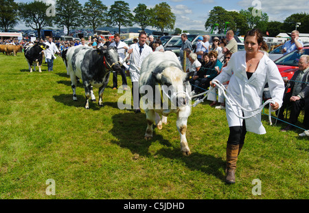 Local agricultural show held annually in the town of BIGGAR in South Lanarkshire, Scotland. Stock Photo