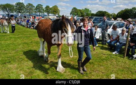 Local agricultural show held annually in the town of BIGGAR in South Lanarkshire, Scotland. Stock Photo