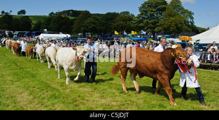 Local agricultural show held annually in the town of BIGGAR in South Lanarkshire, Scotland. Stock Photo