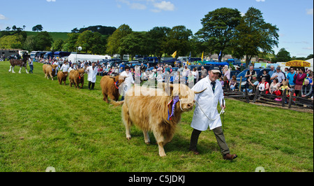 Local agricultural show held annually in the town of BIGGAR in South Lanarkshire, Scotland. Stock Photo