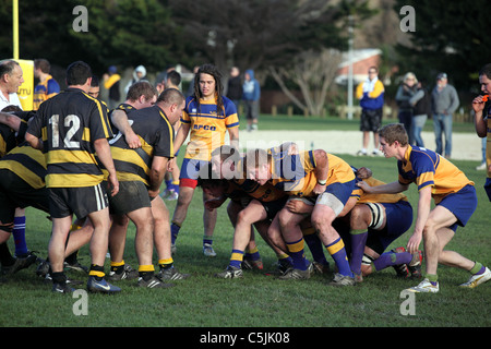 Packing down for a scrum in premier rugby game. Paraparaumu, Kapiti, Wellington, New Zealand, Australasia Stock Photo