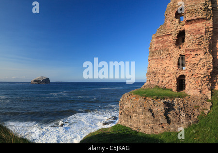 Bass rock from Tantallon castle north berwick east lothian scotland Stock Photo