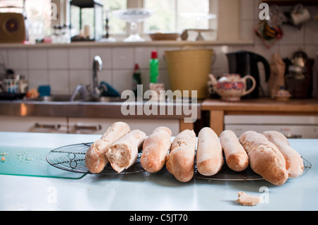 Freshly baked baguettes cooling on the counter. Stock Photo