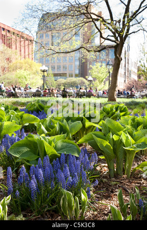 Washington Square Park, Greenwich Village, NYC Stock Photo