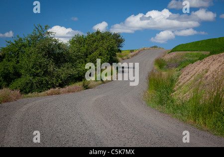 Country road in the Palouse Stock Photo