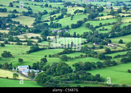 Cheshire Countryside in Summer at Dawn Stock Photo