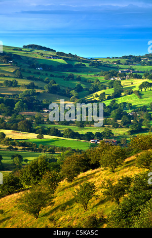 Cheshire Countryside in Summer at Dawn Stock Photo