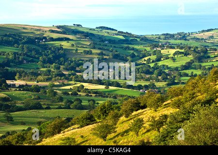 Cheshire Countryside in Summer at Dawn Stock Photo