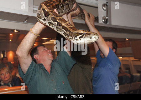 Snakes on a Plane  Year: 2006 USA Director: David R. Ellis snake trainer   Jules Sylvester  Shooting picture Stock Photo