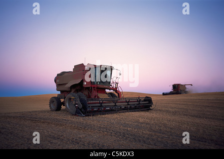 Combines harvesting wheat in the Palouse region. Stock Photo