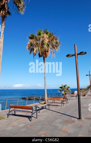 Playa de las Americas, Tenerife, Canary islands Stock Photo - Alamy