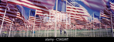 Field of 1,000 USA flags on Memorial Day in Questa, NM. Stock Photo