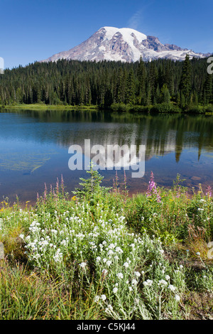 Mount Rainier from Reflection Lake National Park Washington USA Stock Photo