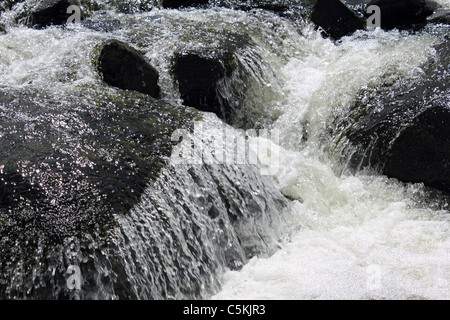 Afon Ysgethin river near Tal-y-bont in Snowdonia National Park Gwynedd Wales UK Stock Photo