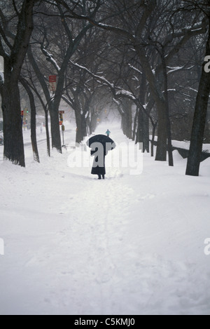 woman w/ umbrella in white winter snow, NYC Stock Photo