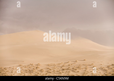 Blowing sand across the Eureka Dunes, Death Valley, CA Stock Photo