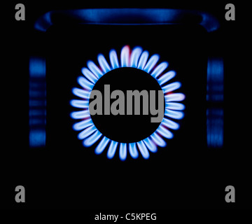 Gas flames radiating from circular burner of gas stove Stock Photo