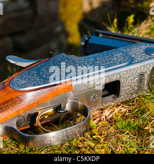 A twelve bore over and under shot gun open and showing cartridges, at rest during a days game shoot in England Stock Photo