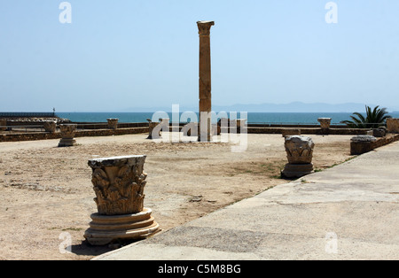 View of ancient columns in Carthage. Antonine Baths built by Romans (310-390 BC) Stock Photo